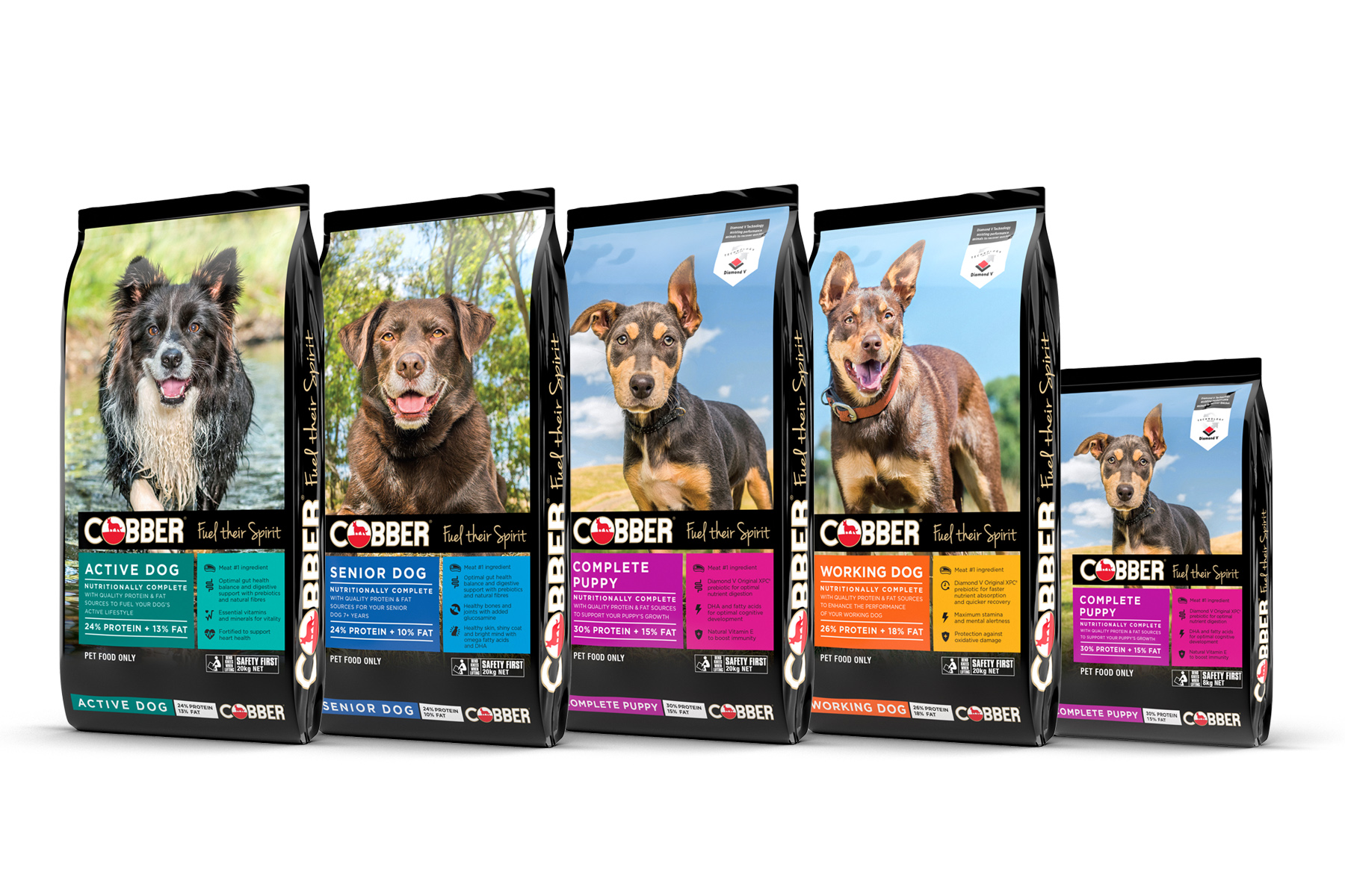 3d render dog food packaging