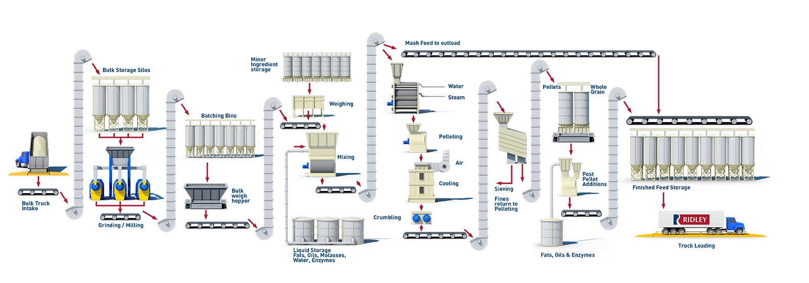 TV0987_RID19879_Ridley_Process_Diagram_V2