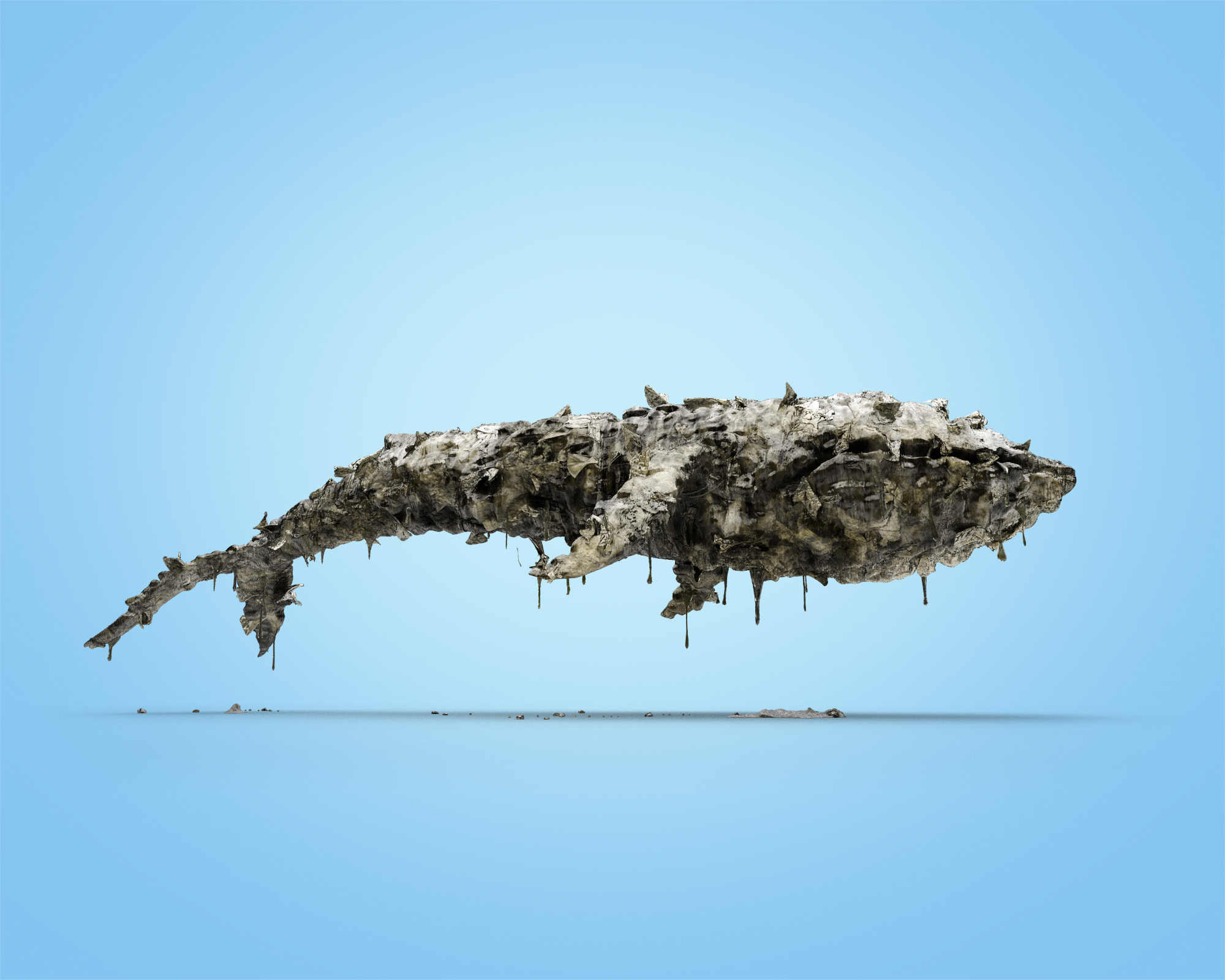 Whale_2000